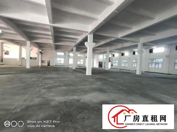  塘厦龙背岭新出标准一楼1200平方带牛角现成办公室低价
