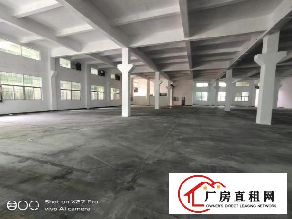 塘厦龙背岭新出标准一楼1200平方带牛角现成办公室低价