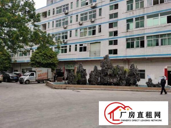  塘厦清湖原房东楼上300平方小面积厂房出租，有地平漆，办公室