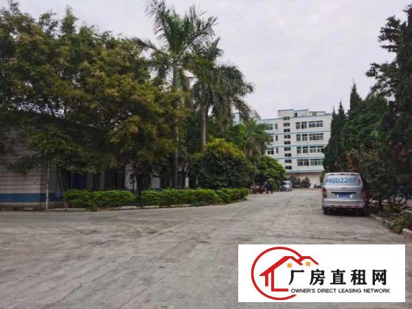  塘厦清湖原房东楼上300平方小面积厂房出租，有地平漆，办公室