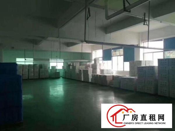  塘厦沙湖楼上原房东厂房直招安实际面积出租无公摊