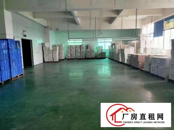  塘厦沙湖楼上原房东厂房直招安实际面积出租无公摊
