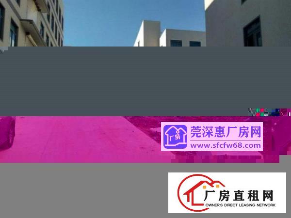  沙湖标准1楼1000平高6米厂房出租，水电到位，外观形象好