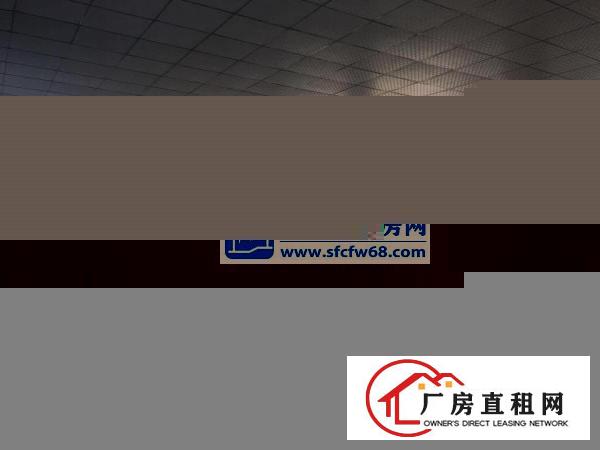  沙湖标准1楼1000平高6米厂房出租，水电到位，外观形象好