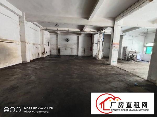  塘厦诸佛岭新出标准一楼300平现成办公室主线到车间小客户福音