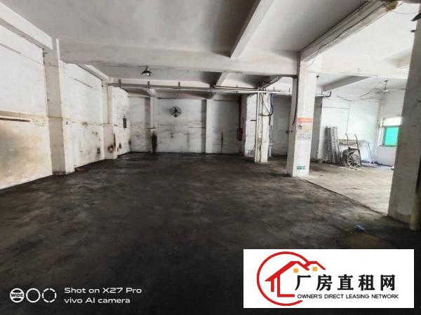  塘厦诸佛岭新出标准一楼300平现成办公室主线到车间小客户福音
