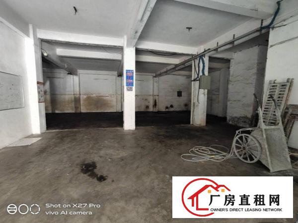  塘厦诸佛岭新出标准一楼300平现成办公室主线到车间小客户福音