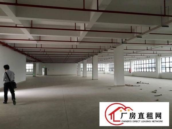  凤岗五联靠平湖观澜1万高薪产业园厂房出租200起租