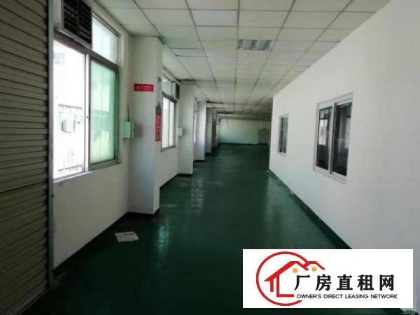  塘厦楼上570平精装修厂房适合各行各业原房东低价急租！