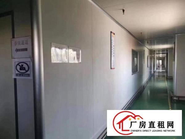  塘厦清溪原房东独院厂房出租2000平，空地超大，带环评