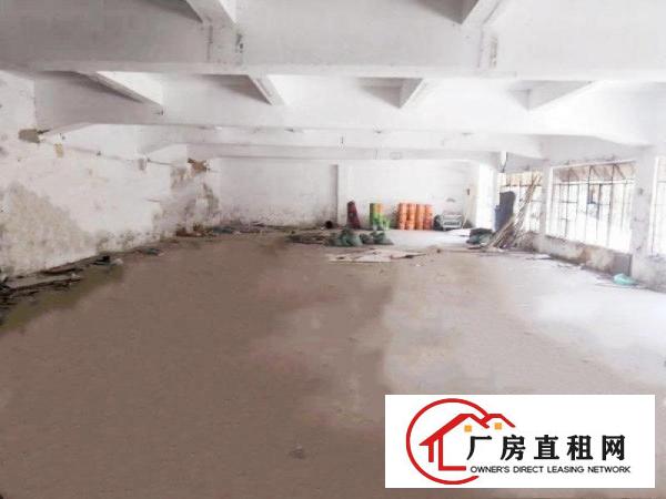 清湖头原房东小毒院面积实在，打包价出租绝无杂费送空地