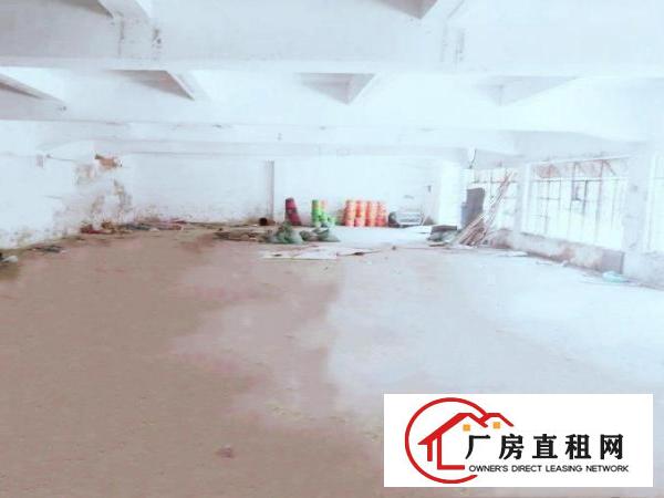  清湖头原房东小毒院面积实在，打包价出租绝无杂费送空地
