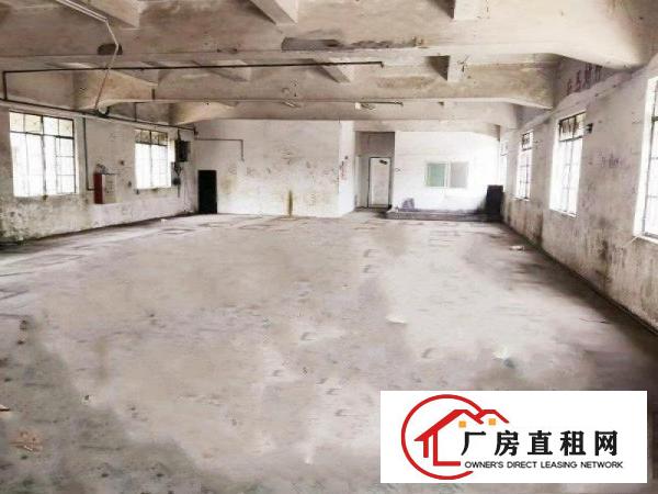  清湖头原房东小毒院面积实在，打包价出租绝无杂费送空地