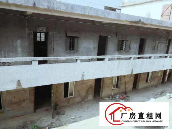  清湖头原房东小毒院面积实在，打包价出租绝无杂费送空地