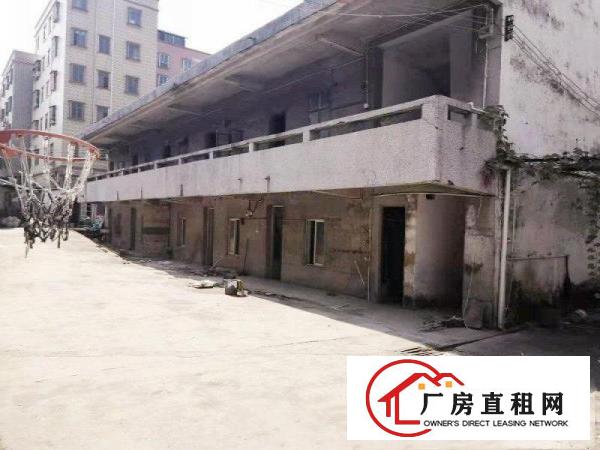  清湖头原房东小毒院面积实在，打包价出租绝无杂费送空地