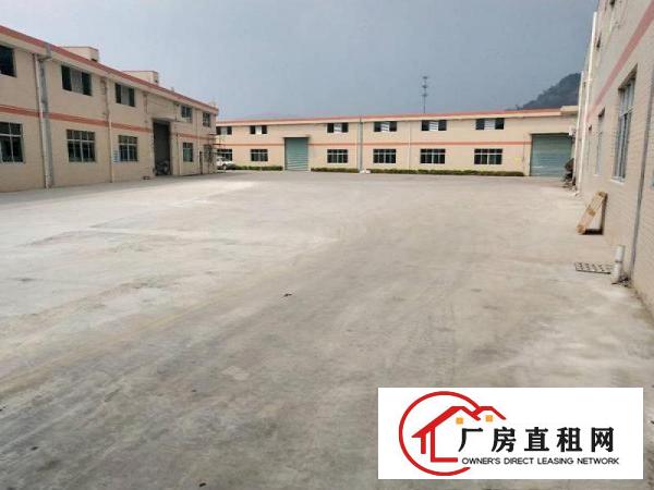  可独栋出租九成新单层厂房3栋共6500平方1250平起