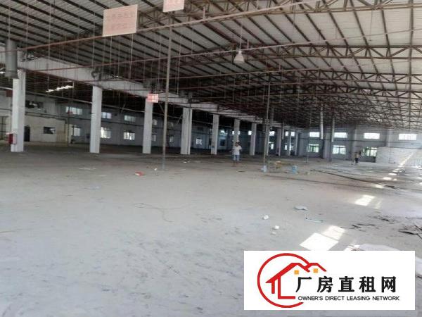  可独栋出租九成新单层厂房3栋共6500平方1250平起