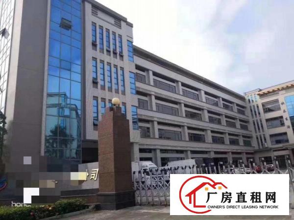  塘厦科苑城楼上1500平方带豪华装修无转让费厂房招租