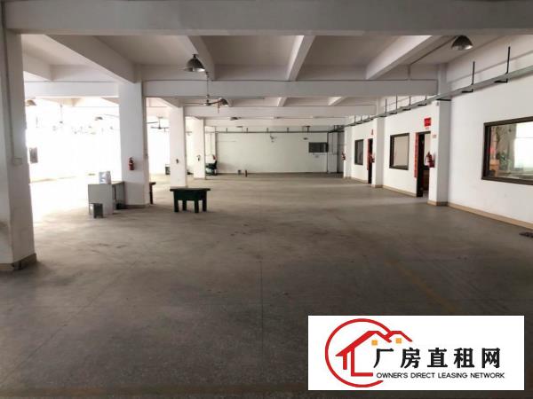  塘厦莆心湖新出6500平独院，香港房东，现成配置水电。