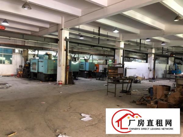  塘厦莆心湖新出6500平独院，香港房东，现成配置水电。