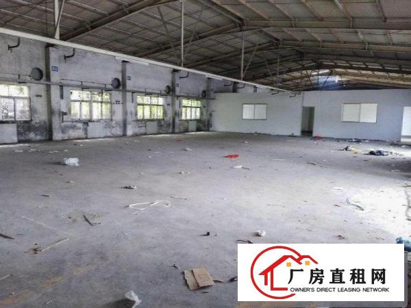  塘厦凤凰岗一楼700平钢构厂房，可进大车，原房东分租价格便宜