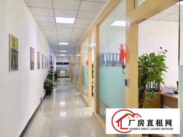 塘厦凤凰岗新出楼上原房东1450平带实际面积，精装修出租
