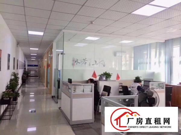  塘厦凤凰岗新出楼上原房东1450平带实际面积，精装修出租