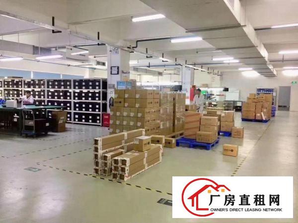  塘厦凤凰岗新出楼上原房东1450平带实际面积，精装修出租