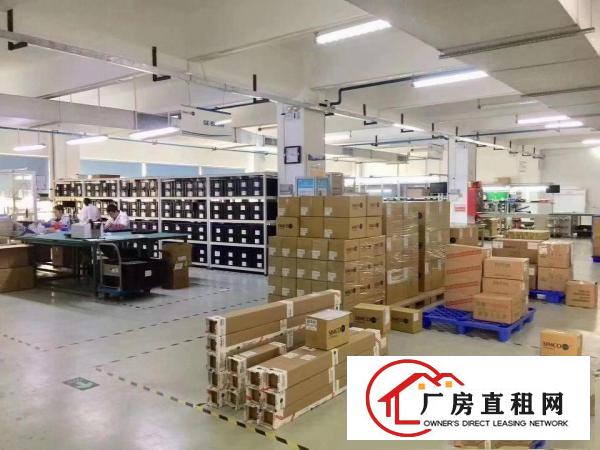  塘厦凤凰岗新出楼上原房东1450平带实际面积，精装修出租