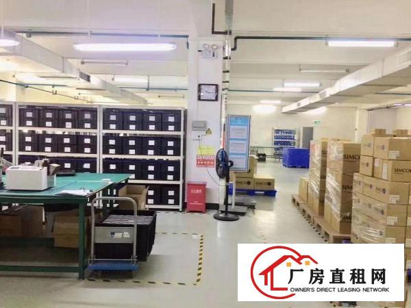  塘厦凤凰岗新出楼上原房东1450平带实际面积，精装修出租