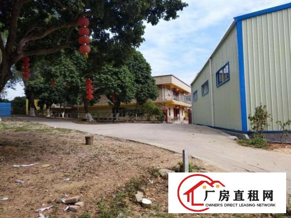  石鼓临近深圳新出钢构厂房650平出租，带隔热层，通透明亮