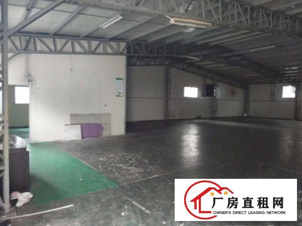 石鼓临近深圳新出钢构厂房650平出租，带隔热层，通透明亮