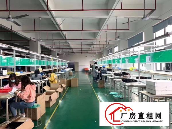  塘厦科苑城新出二楼1000平，公摊小，配置齐全原房东直租