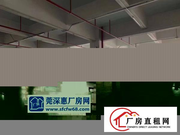  塘厦科苑城新出二楼1000平，公摊小，配置齐全原房东直租