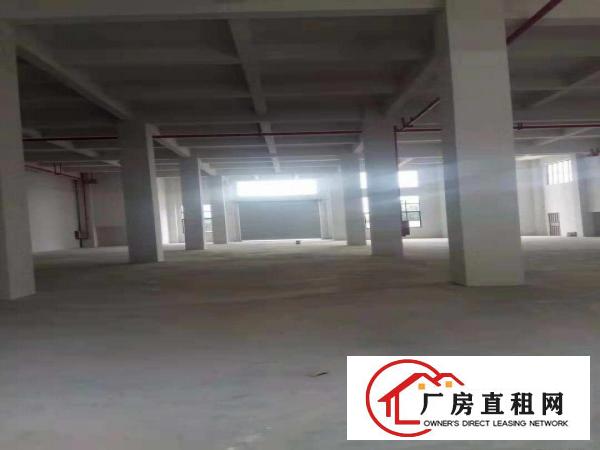  镇中心独院厂房2500出租灵活分租配电充足，位于主干道