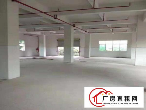  镇中心独院厂房2500出租灵活分租配电充足，位于主干道