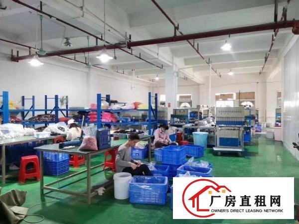  （带环评空地超大）清溪三中原房东厂房出租680平