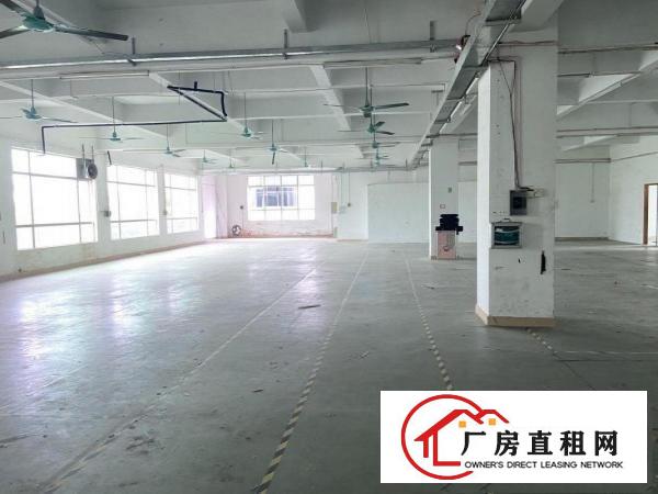  塘厦科苑城楼上带现成水电办公室装修1050平米整层出租