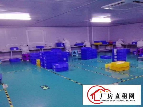  塘厦莆心湖厂房出租1000平，现成无尘车间无需转让费