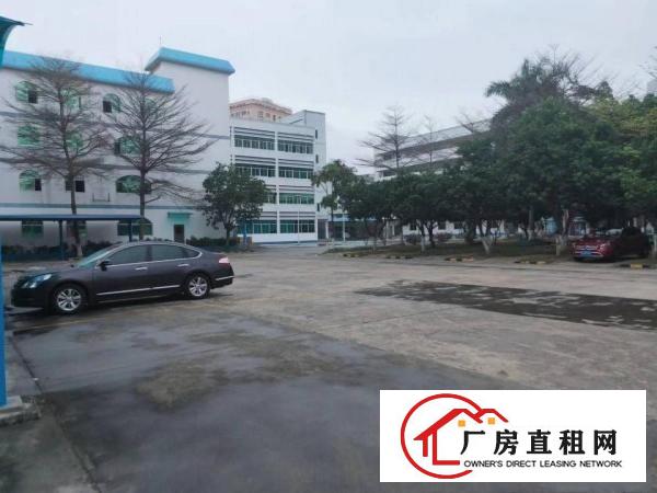  塘厦莆心湖厂房出租1000平，现成无尘车间无需转让费