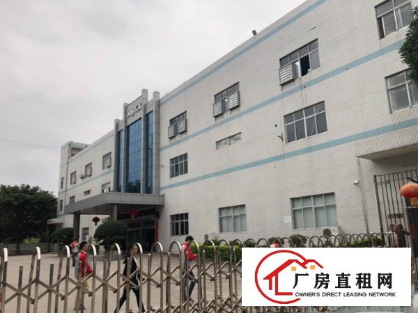  塘厦科苑城1000平一楼火爆抢租，现成装修高5.5米原房东