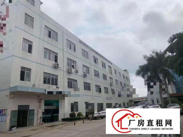  塘厦厂房出租9块9，标准厂房，带消防喷淋。