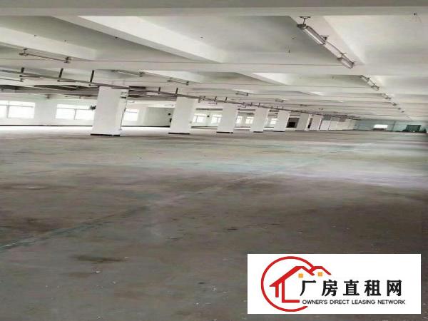  塘厦厂房出租9块9，标准厂房，带消防喷淋。