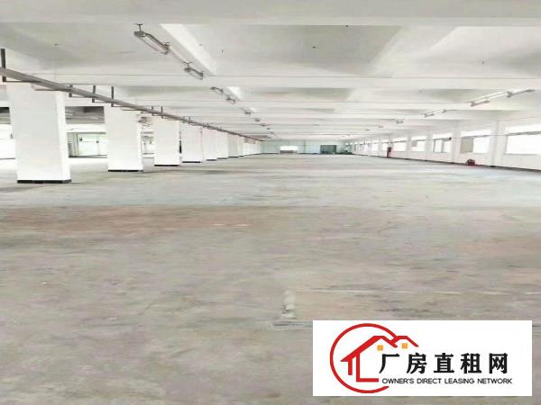  塘厦厂房出租9块9，标准厂房，带消防喷淋。