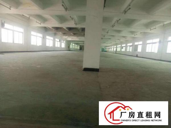  塘厦厂房出租9块9，标准厂房，带消防喷淋。