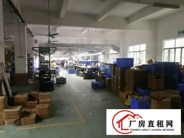  塘厦龙背岭1000平一楼出租，现成装修，有电池证适合电池