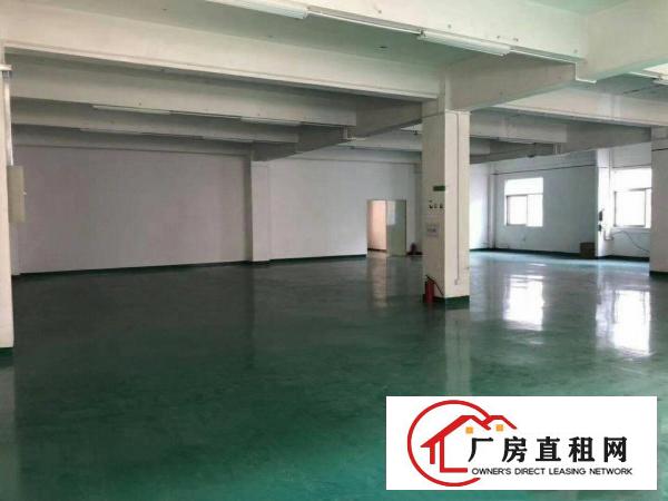  塘厦石鼓独院标准2楼380平方！地坪漆装修！小面积便宜租