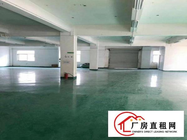  塘厦石鼓独院标准2楼380平方！地坪漆装修！小面积便宜租