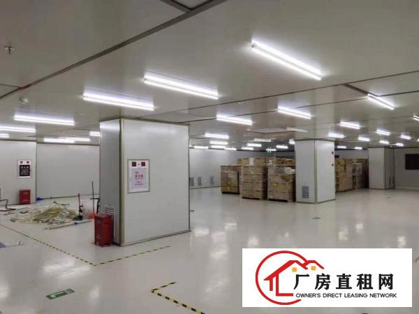  塘厦莲湖缤纷广场九成新无尘车间2600平方