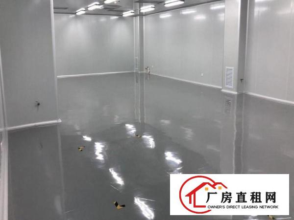  塘厦莲湖缤纷广场九成新无尘车间2600平方